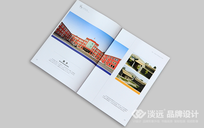 企业画册设计,灯塔市铧子镇政府画册
