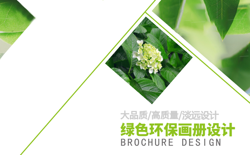 沈阳画册设计多少钱